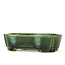 Oval green bonsai pot by Terahata Satomi Mazan - 165 x 125 x 45 mm