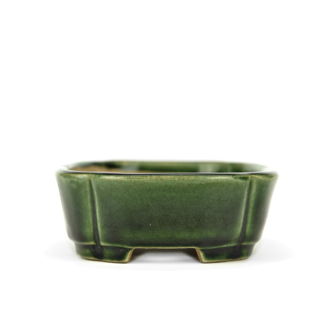 Ovale groene bonsaipot van Terahata Satomi Mazan - 165 x 125 x 45 mm