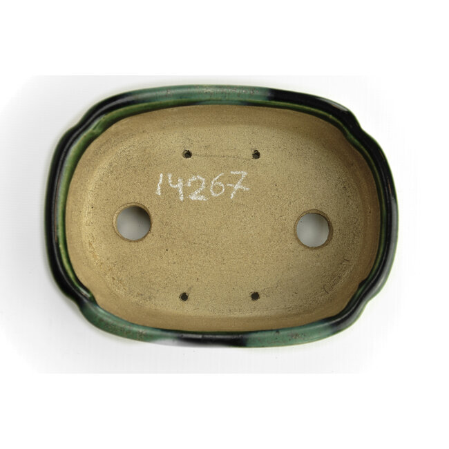 Vaso bonsai ovale verde di Terahata Satomi Mazan - 165 x 125 x 45 mm