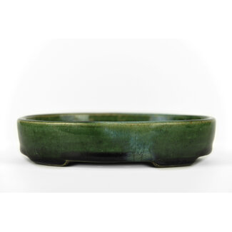  Satomi Mazan, Mazan Terahata 155 mm oval green bonsai pot by Terahata Satomi Mazan, Tokoname, Japan