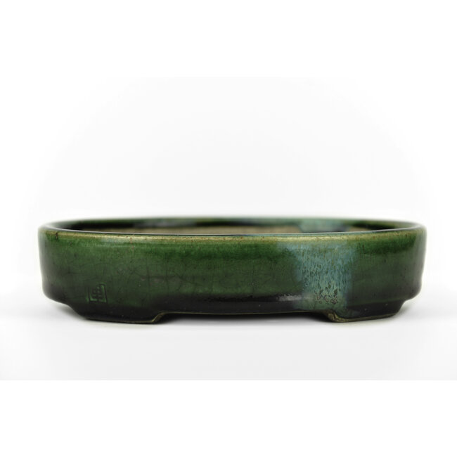 Pot à bonsaï ovale vert par Terahata Satomi Mazan - 155 x 130 x 34 mm