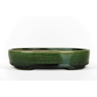  Satomi Mazan, Mazan Terahata 155 mm oval green bonsai pot by Terahata Satomi Mazan, Tokoname, Japan