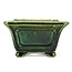 Square green bonsai pot by Terahata Satomi Mazan - 125 x 125 x 72 mm