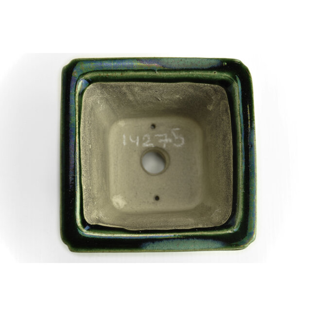 Vierkante groene bonsaipot van Terahata Satomi Mazan - 125 x 125 x 72 mm