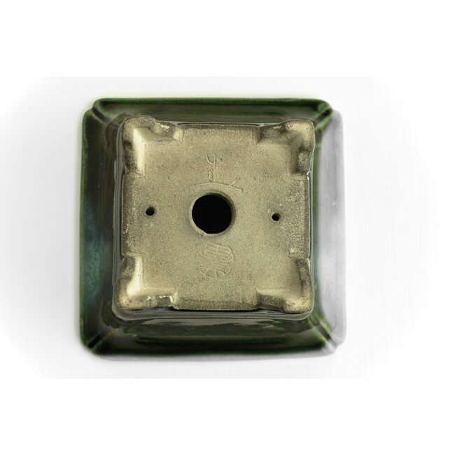 Quadratischer grüner Bonsai-Topf von Terahata Satomi Mazan - 125 x 125 x 72 mm