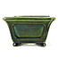 Square green bonsai pot by Terahata Satomi Mazan - 125 x 125 x 72 mm