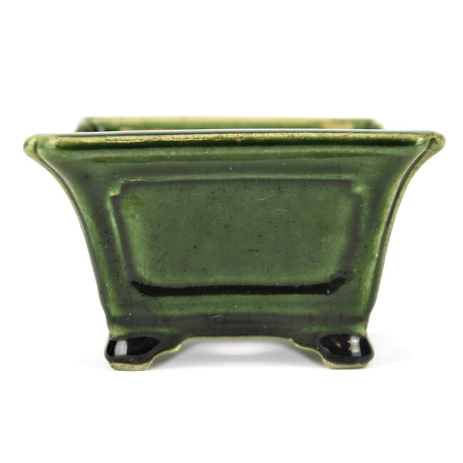 Maceta de bonsai cuadrada verde de Terahata Satomi Mazan - 125 x 125 x 72 mm