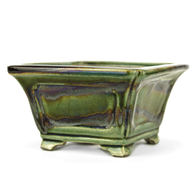 Quadratischer grüner Bonsai-Topf von Terahata Satomi Mazan - 125 x 125 x 72 mm