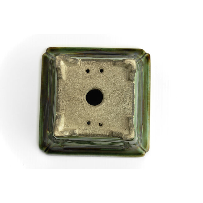 Pot à bonsaï carré vert par Terahata Satomi Mazan - 125 x 125 x 72 mm