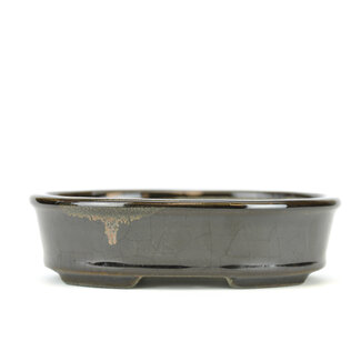  Satomi Mazan, Mazan Terahata 135 mm oval black bonsai pot by Terahata Satomi Mazan, Tokoname, Japan