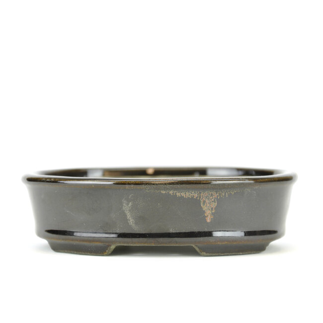 Ovaler schwarzer Bonsai-Topf von Terahata Satomi Mazan - 135 x 111 x 37 mm