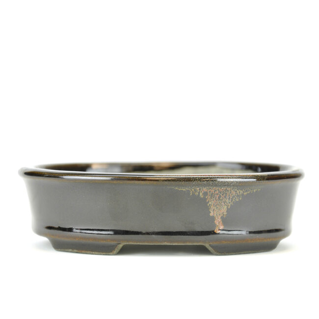 Maceta de bonsai negra ovalada de Terahata Satomi Mazan - 135 x 111 x 37 mm