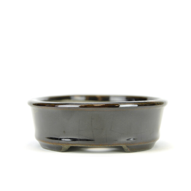 Maceta de bonsai negra ovalada de Terahata Satomi Mazan - 135 x 111 x 37 mm