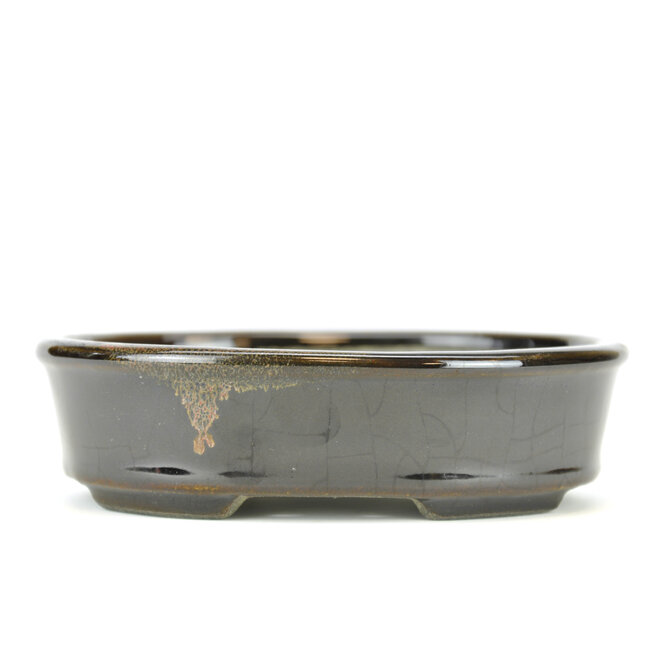 Maceta de bonsai negra ovalada de Terahata Satomi Mazan - 135 x 111 x 37 mm