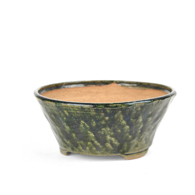 Pot à bonsaï bonsaï rond vert - 122 x 122 x 55 mm