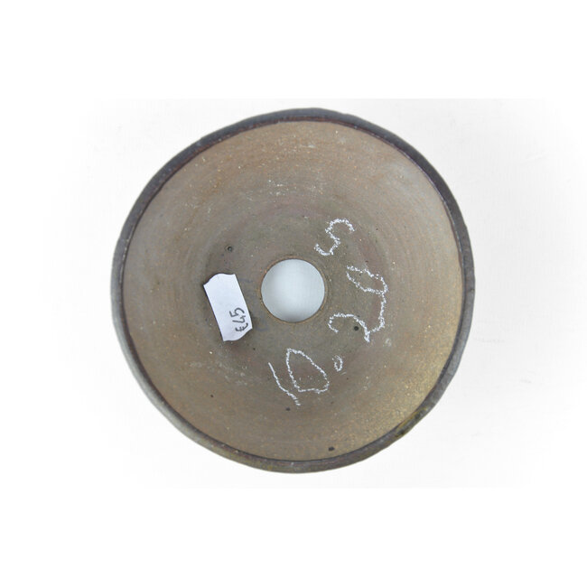 Vaso bonsai rotondo marrone per bonsai - 123 x 123 x 50 mm