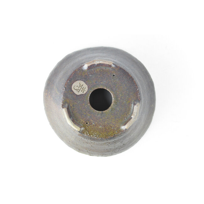 Pot à bonsaï rond marron - 123 x 123 x 50 mm