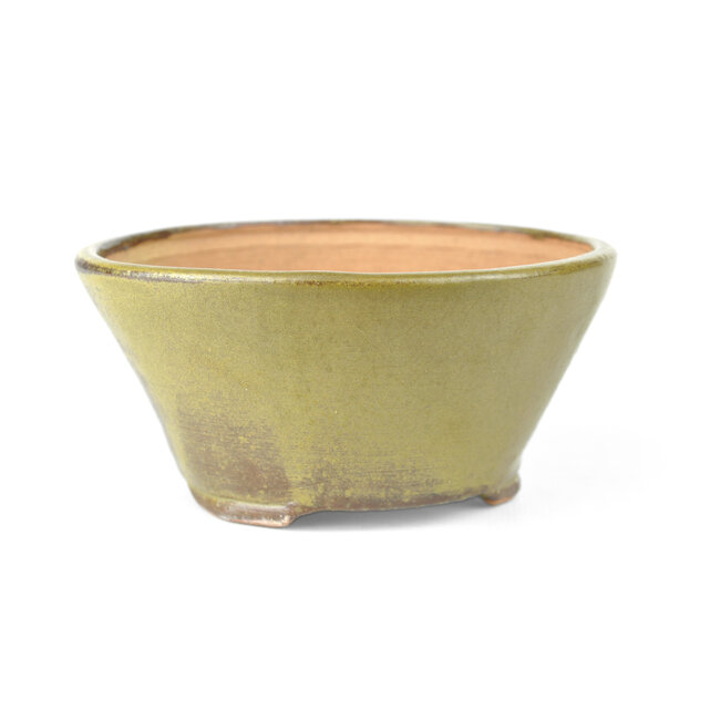 Round green Bonsai bonsai pot - 122 x 122 x 60 mm