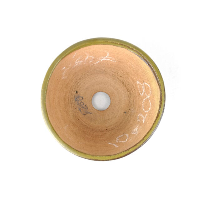 Ronde groene Bonsai bonsai pot - 122 x 122 x 60 mm