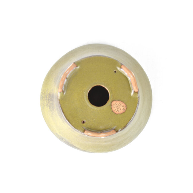 Pot à bonsaï bonsaï rond vert - 122 x 122 x 60 mm