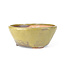 Pot à bonsaï Bonsaï rond vert - 118 x 118 x 60 mm
