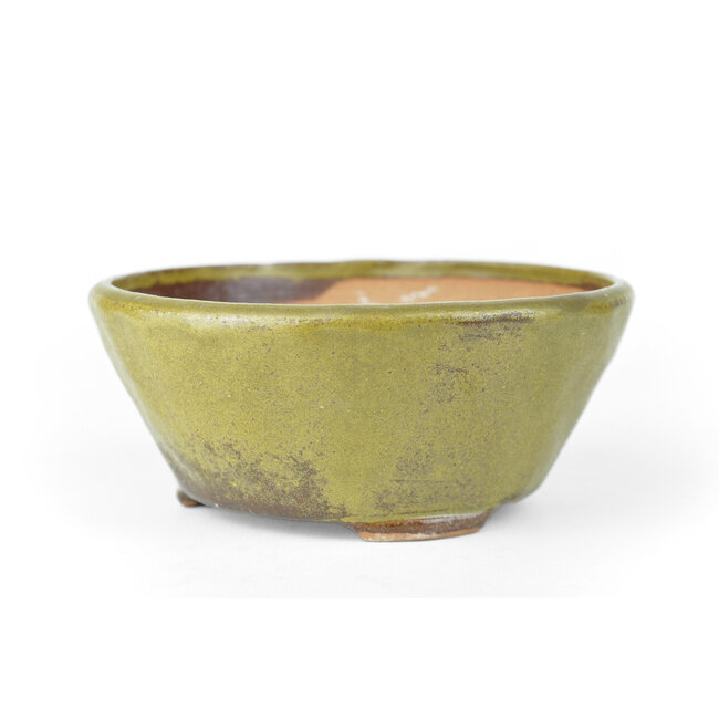 Runde grüne Bonsai-Bonsaischale - 118 x 118 x 60 mm