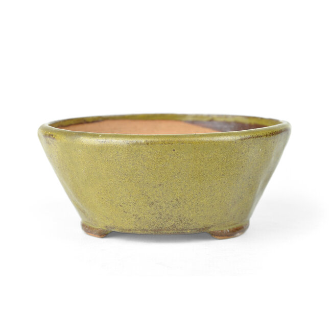 Ronde groene Bonsai bonsai pot - 118 x 118 x 60 mm