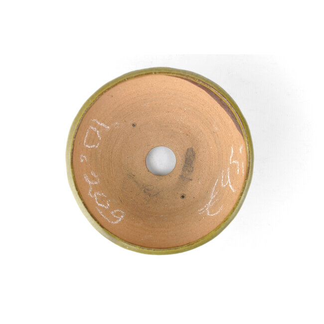 Pot à bonsaï Bonsaï rond vert - 118 x 118 x 60 mm