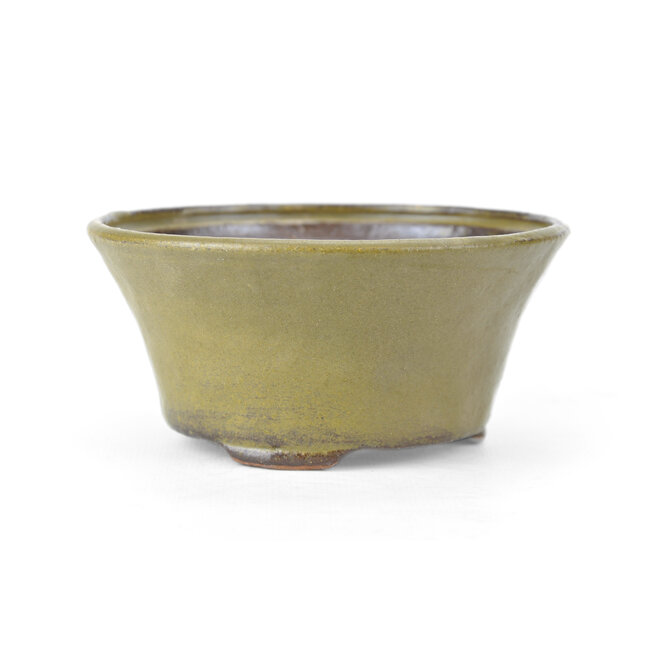 Vaso bonsai rotondo verde per bonsai - 115 x 115 x 60 mm