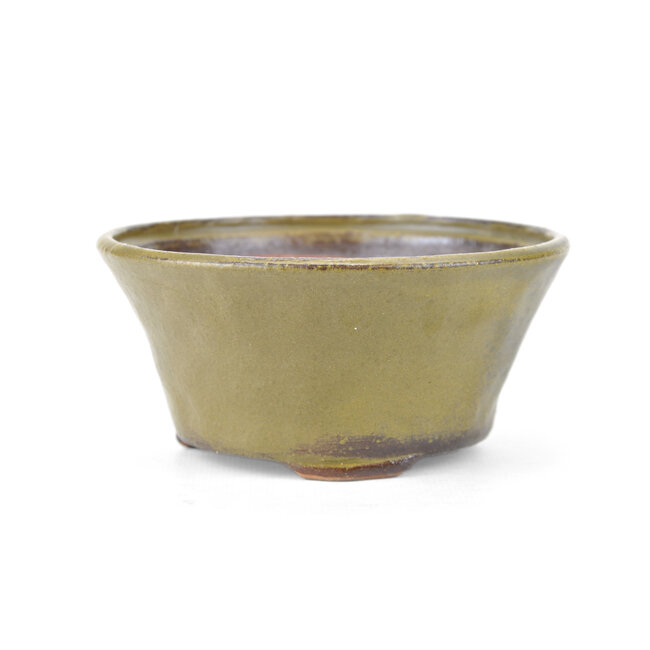 Round green Bonsai bonsai pot - 115 x 115 x 60 mm