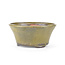 Round green Bonsai bonsai pot - 115 x 115 x 60 mm