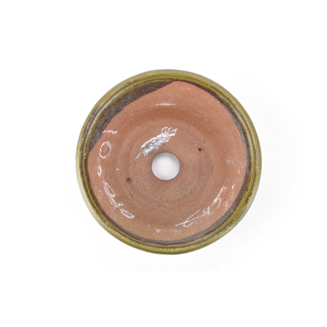 Pot à bonsaï bonsaï rond vert - 115 x 115 x 60 mm