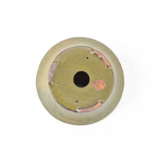 Pot à bonsaï bonsaï rond vert - 115 x 115 x 60 mm