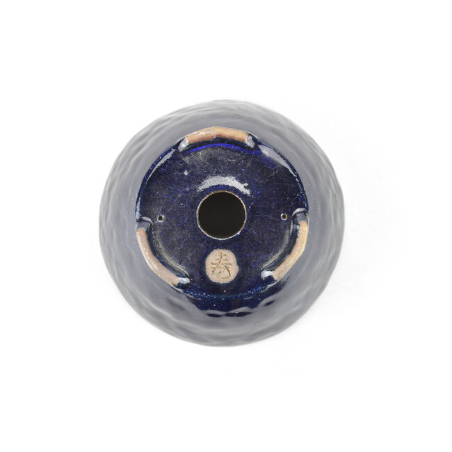 Pot à bonsaï rond bleu Bonsaï - 125 x 125 x 60 mm