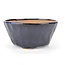 Round blue Bonsai bonsai pot - 112 x 112 x 55 mm