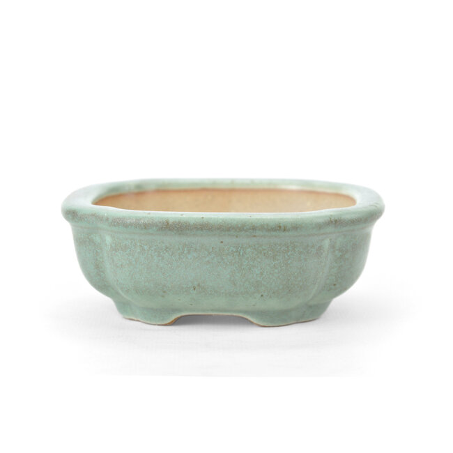 Maceta de bonsai cuadrada azul turquesa - 109 x 108 x 40 mm