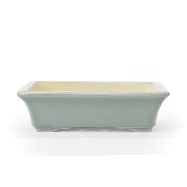 Pot à bonsaï rectangulaire bleu clair - 140 x 102 x 40 mm