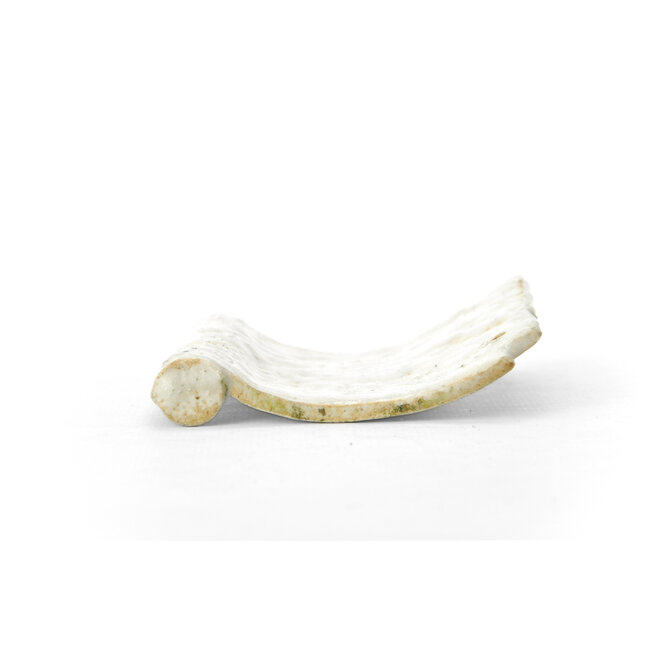 Tuile pot à bonsaï blanc - 84 x 81 x 20 mm