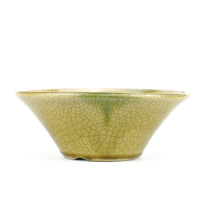 Round yellow bonsai pot by Terahata Satomi Mazan - 190 x 190 x 78 mm