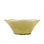 Round yellow bonsai pot by Terahata Satomi Mazan - 190 x 190 x 78 mm