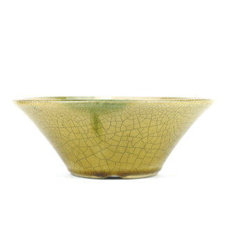  Satomi Mazan, Mazan Terahata Vaso bonsai rotondo giallo da 190 mm di Terahata Satomi Mazan, Tokoname, Giappone