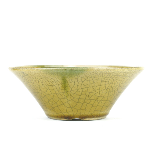 Round yellow bonsai pot by Terahata Satomi Mazan - 190 x 190 x 78 mm