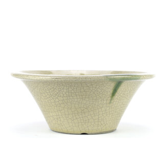  Satomi Mazan, Mazan Terahata Ronde beige bonsaipot van 235 mm van Terahata Satomi Mazan, Tokoname, Japan