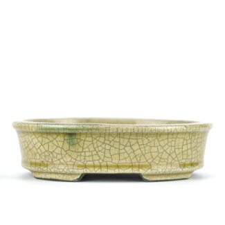 Satomi Mazan, Mazan Terahata Pot à bonsaï ovale beige 135 mm par Terahata Satomi Mazan, Tokoname, Japon