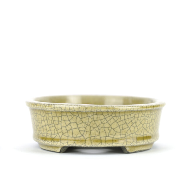 Oval beige bonsai pot by Terahata Satomi Mazan - 135 x 110 x 38 mm