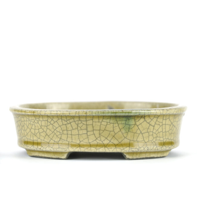 Ovale beige bonsaipot van Terahata Satomi Mazan - 135 x 110 x 38 mm