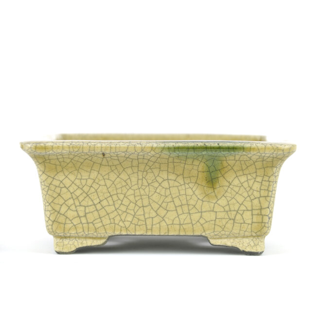 Rectangular beige bonsai pot by Terahata Satomi Mazan - 145 x 135 x 60 mm