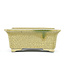 Maceta rectangular para bonsai beige de Terahata Satomi Mazan - 145 x 135 x 60 mm