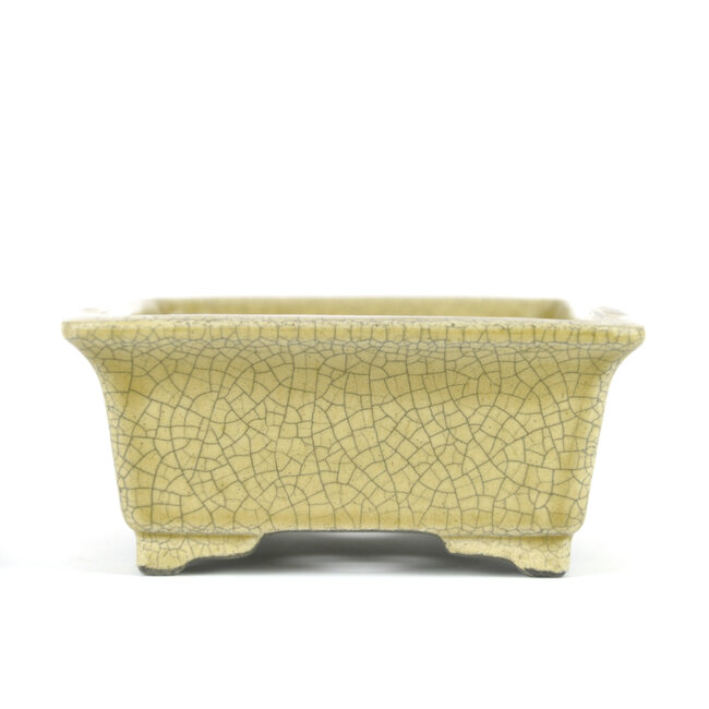 Rechteckige beige Bonsaischale von Terahata Satomi Mazan - 145 x 135 x 60 mm