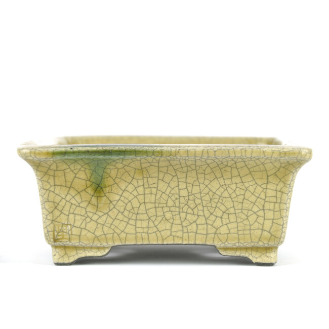 Maceta rectangular para bonsai beige de Terahata Satomi Mazan - 145 x 135 x 60 mm